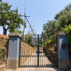 Villa Ada